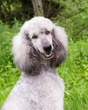 O_Z6rGGGjzc9OlXW-I2ujJc1FnqlF-SsFT59AwOomwU